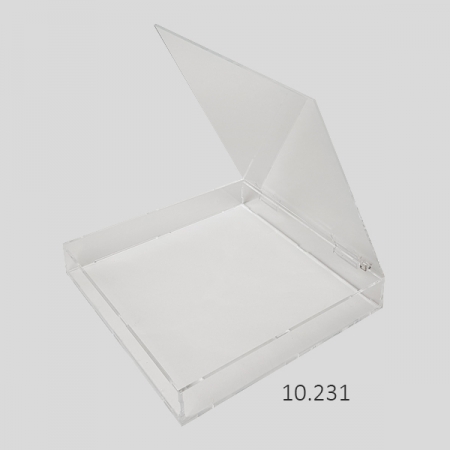 Caja con tapa superior bisagra 30x30x4,5 cm